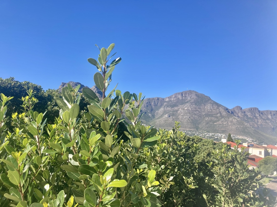 To Let 3 Bedroom Property for Rent in Kronenzicht Western Cape